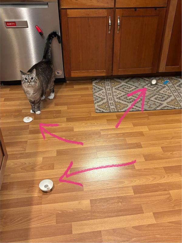 Paul Newman hopes I learned my lesson.