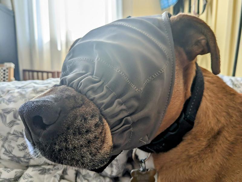 Thundershirt hotsell calming cap