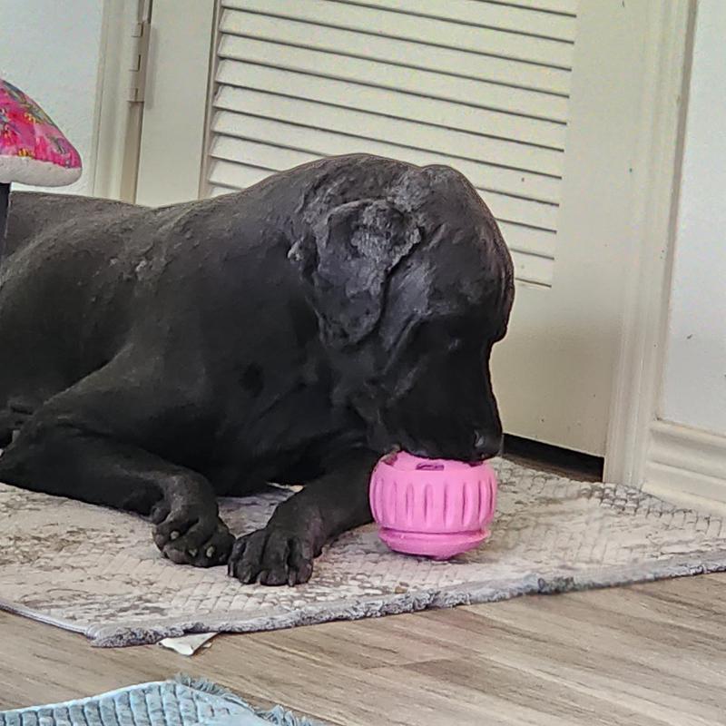 Tasty lick ball!
