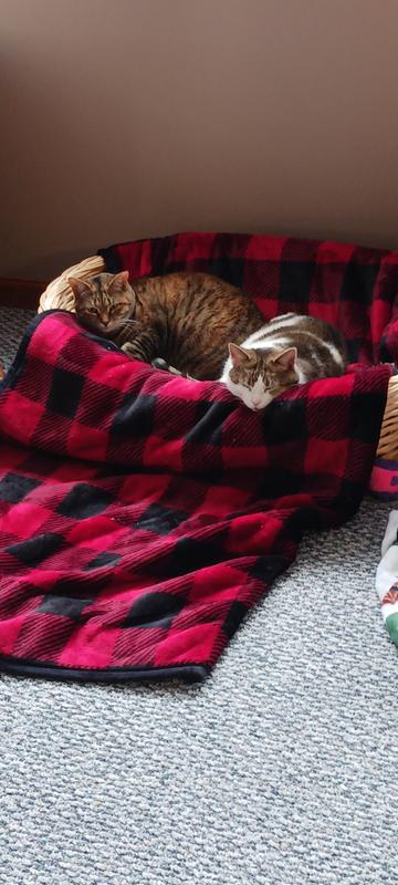 SISTER'S FOREVERRRRR