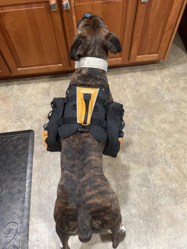 Kurgo Baxter Big Dog Backpack, Black/Orange