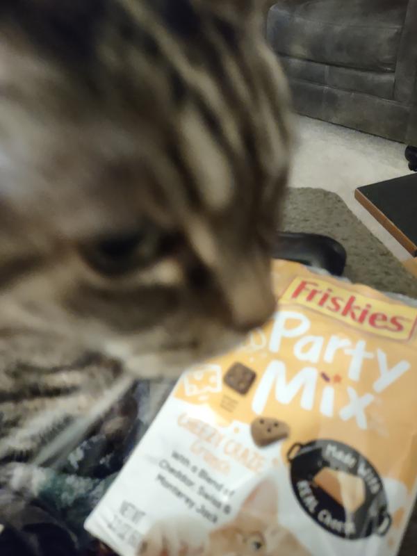 Friskies morning outlet munch