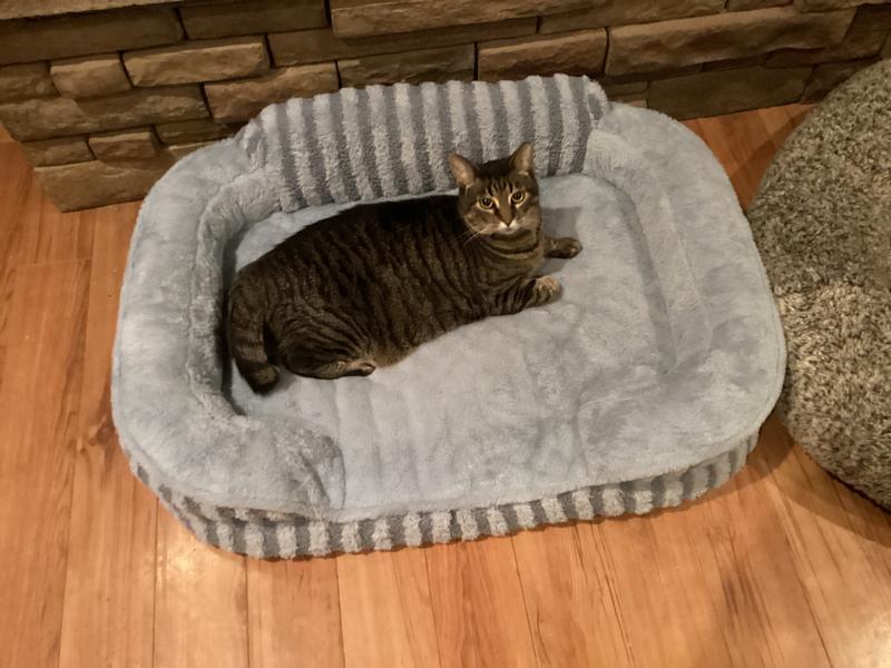 First photo is how bed arrives in box.  Second photo shows bed expanding. Photos 4-6 show bed complete and some of my pets “taking turns” sleeping on the Lesure Pet Bed!