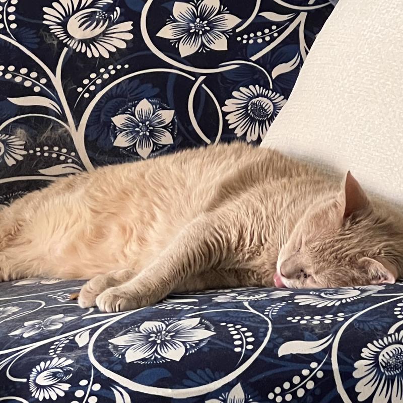 Resting comfortably!