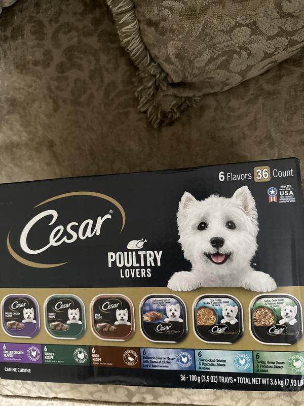 36 count Cesar wet food