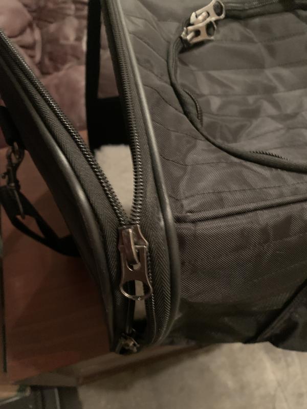 FRISCO Premium Travel Bag Dog & Cat Carrier, Black, Large - Chewy.com
