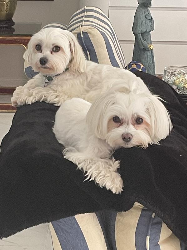 Brother and Sister