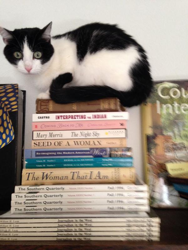 Aida, the literary cat