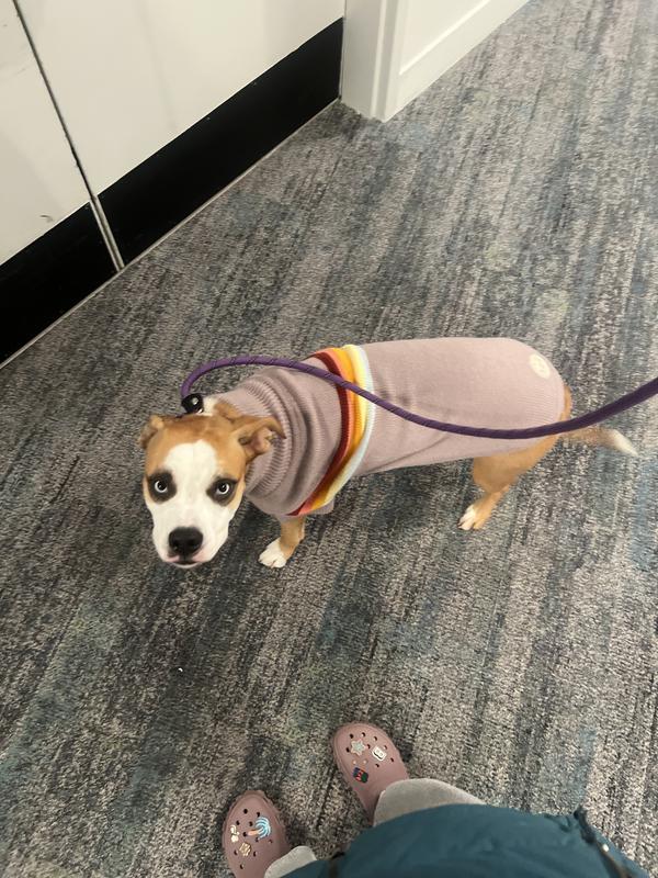Keeping her warm in the winter!