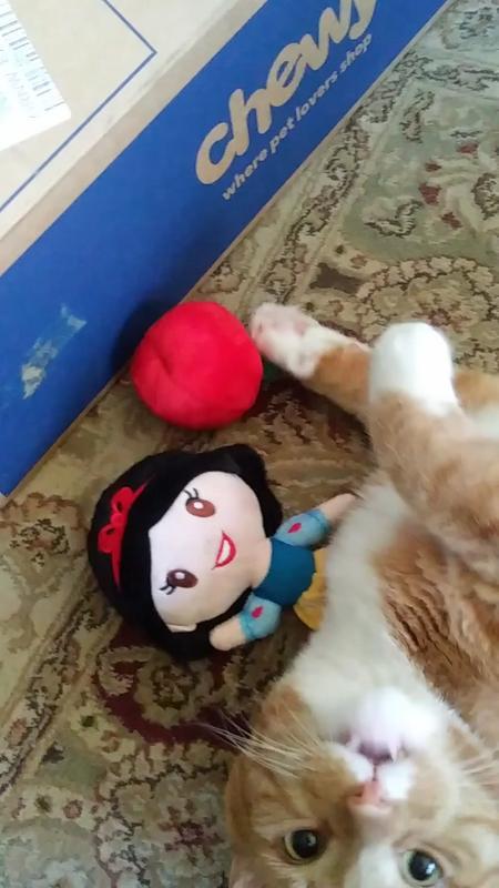 Pip falls in love with Snow White.  She has crinklies & catnip!