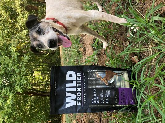 Wild frontier dog food hot sale review