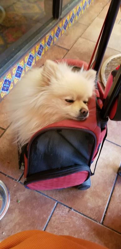 Fell asleep standing up in it.