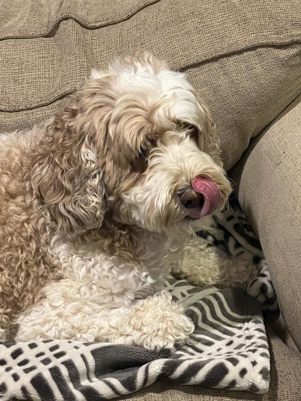 She took the snack to her favorite chair and devoured it.