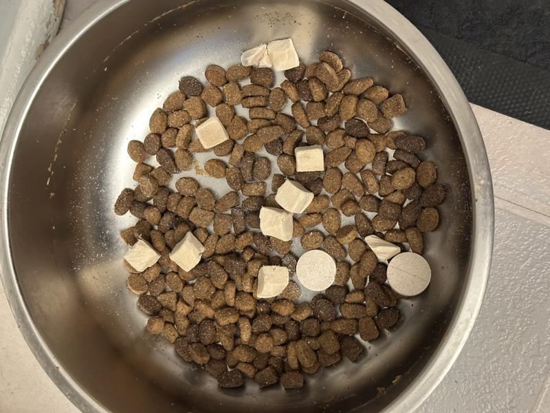 Mixed in with dog kibble