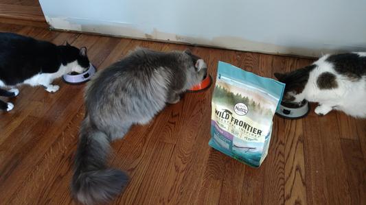 Wild frontier shop cat food reviews