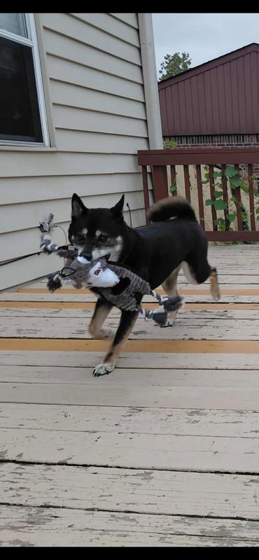 Soren playing outside