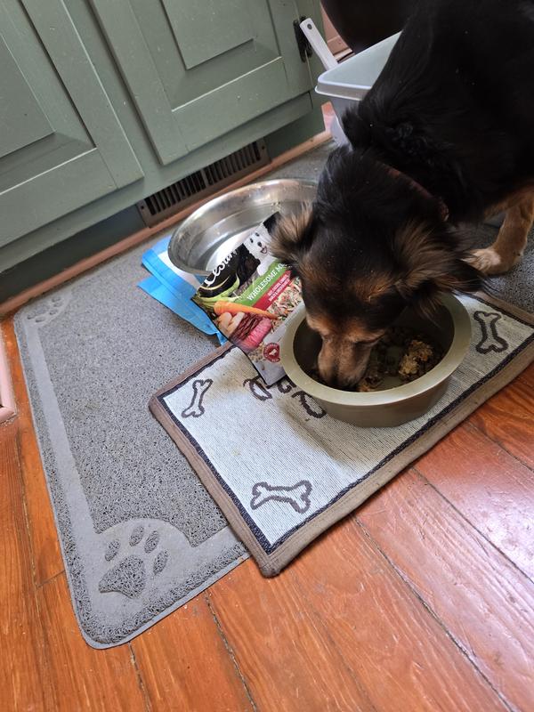 Rosie chowing down.