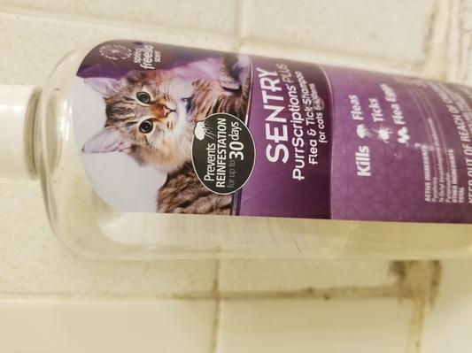 Sentry purrscriptions flea and outlet tick shampoo for cats