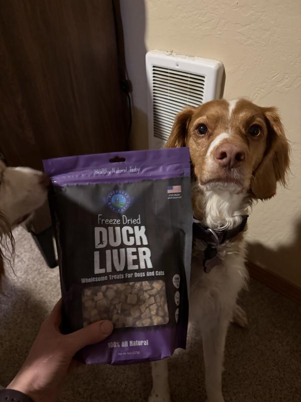 They were so excited to try these out when we first got them!