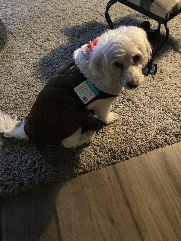 I got a new coat, let's roll!