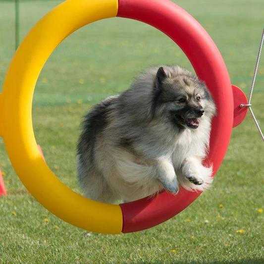 BARK AND WHISKERS Pet Glandular Support Female Dog Supplement, 4.0oz