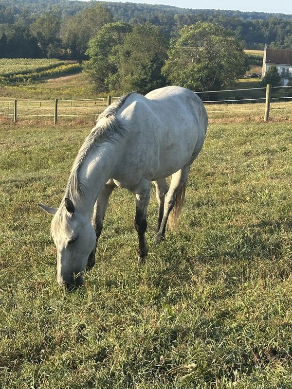 Chilling, and relaxed