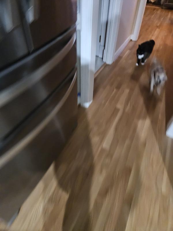 My Jessy girl using her tricky ball