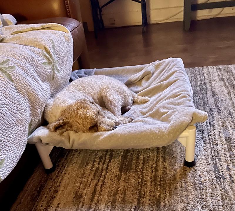 Sheldon likes his blanket in it too