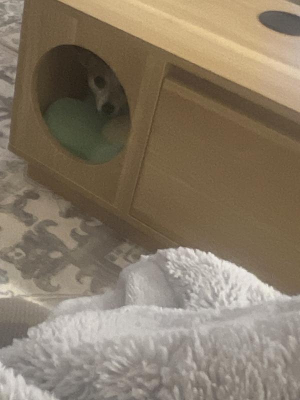 No one can find me!!