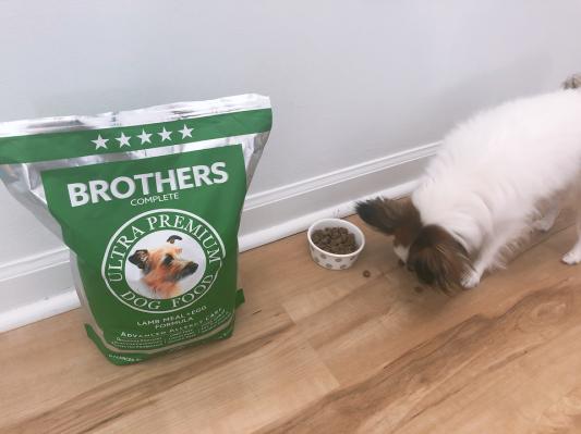 Brothers complete hot sale allergy formula