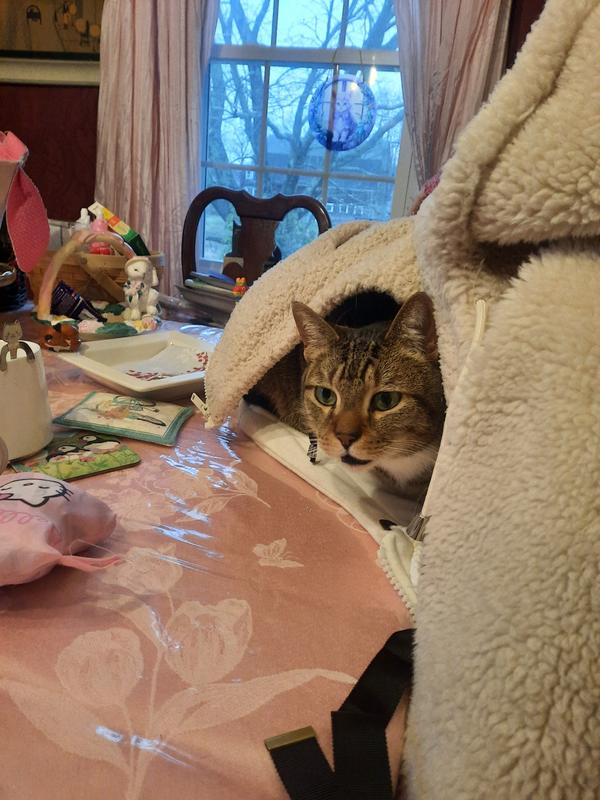 Now I'm sleepy