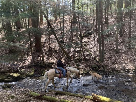 Keeping his souls in tip top shape