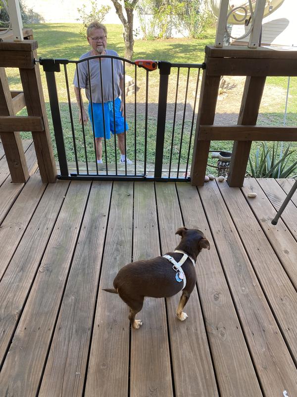 FRISCO Outdoor Steel Arch Extra Wide AutoClose Dog Gate, Black, 30in