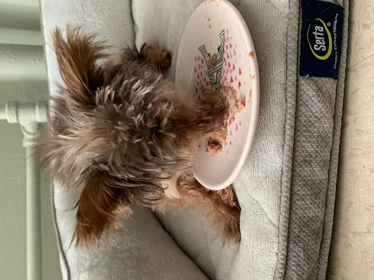 Mork eating the food on his own.