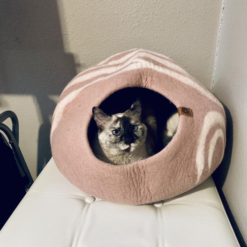Doing a “comfy” test…lol.