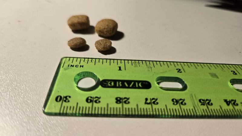 reg royal canin vs small dog royal canin