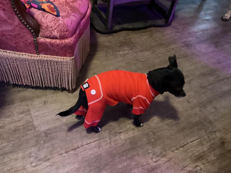 Just hanging out in her long John’s.