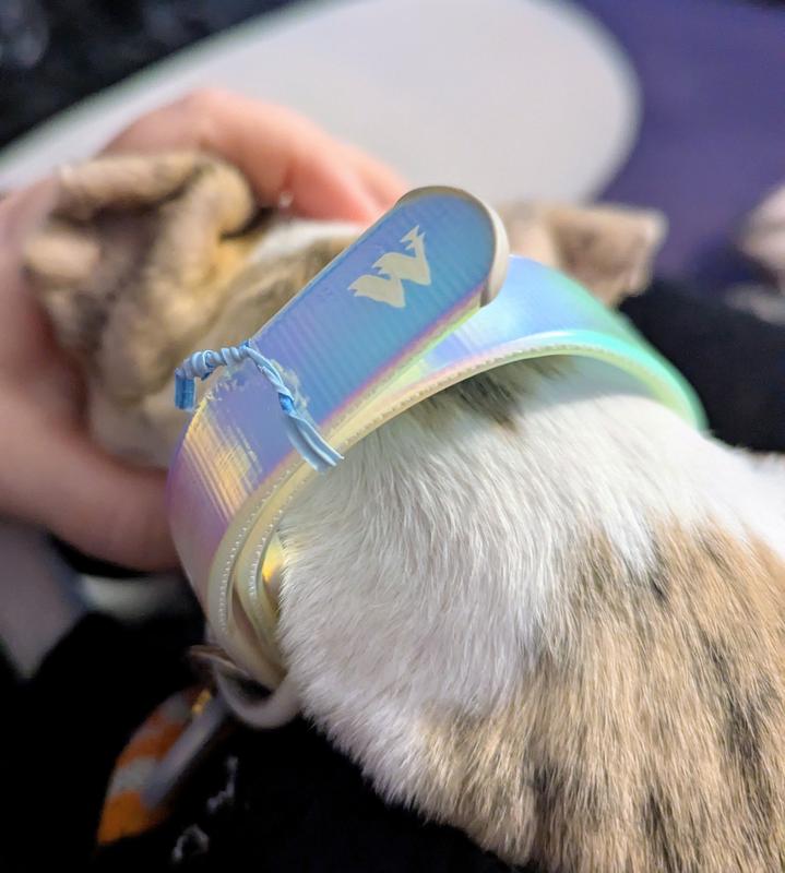 Stylish, high quality, but lacking in hardware.