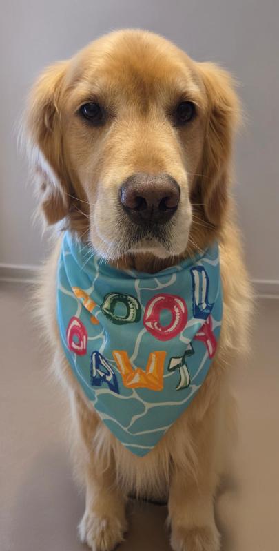 Kaiko takes his modeling job seriously! He is thinking where's the pool? Let's go!