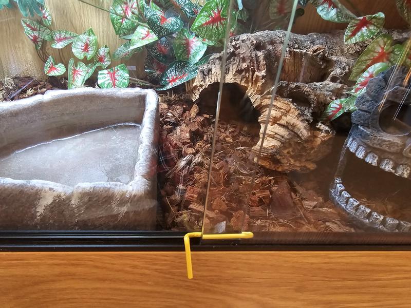 Coat-hanger lock (instead of ReptiZoo lock)