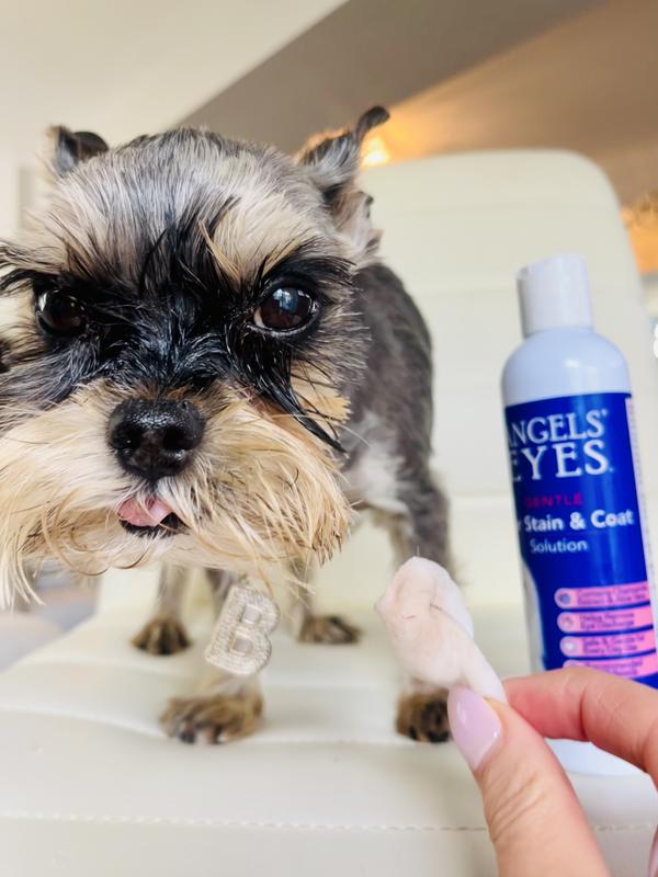 Shih Tzu Clean Dog Tear Stains Home Remedy ANGELS' EYES Gentle