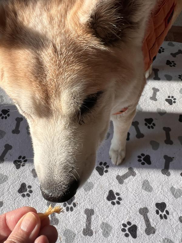 Sniffing a little bit