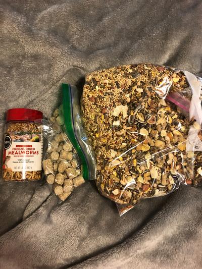 Higgins, mealworms, lab blocks