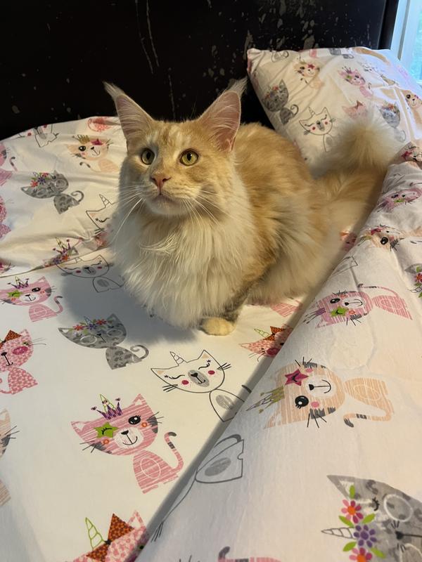 King Nugget