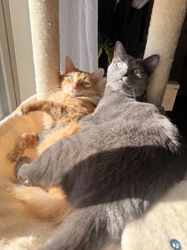 The boys snuggling in their bubble