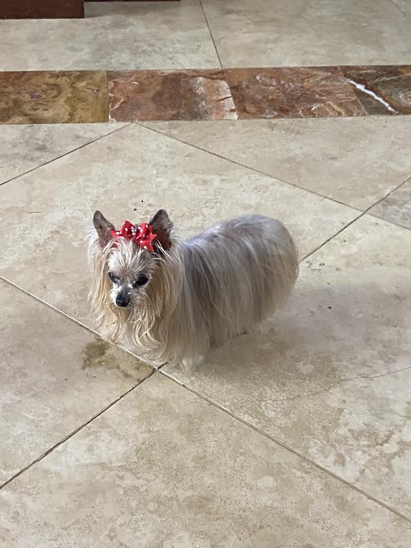 Can’t handle this type of food