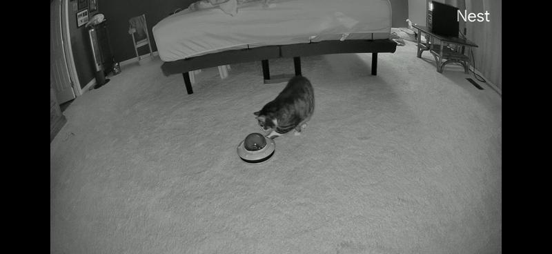 The first night already figured out