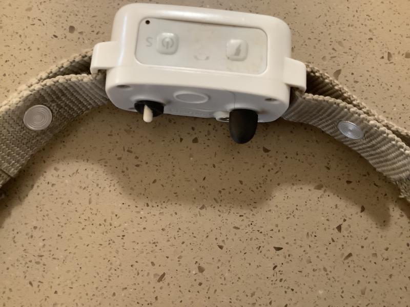 The protective rubber nub broke off the shock mechanism.