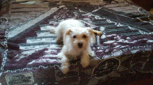 I'm a begger for beggin' strips