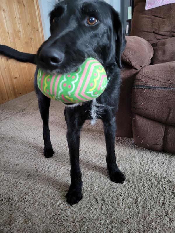 Rewarded after his Easter photo shoot